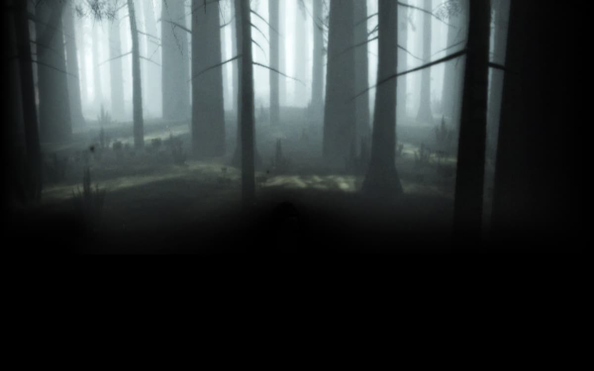 Forest White