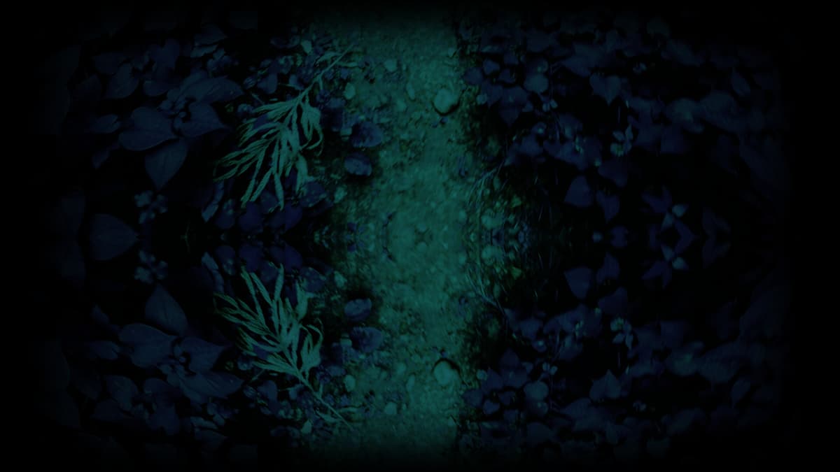 Dark Forest