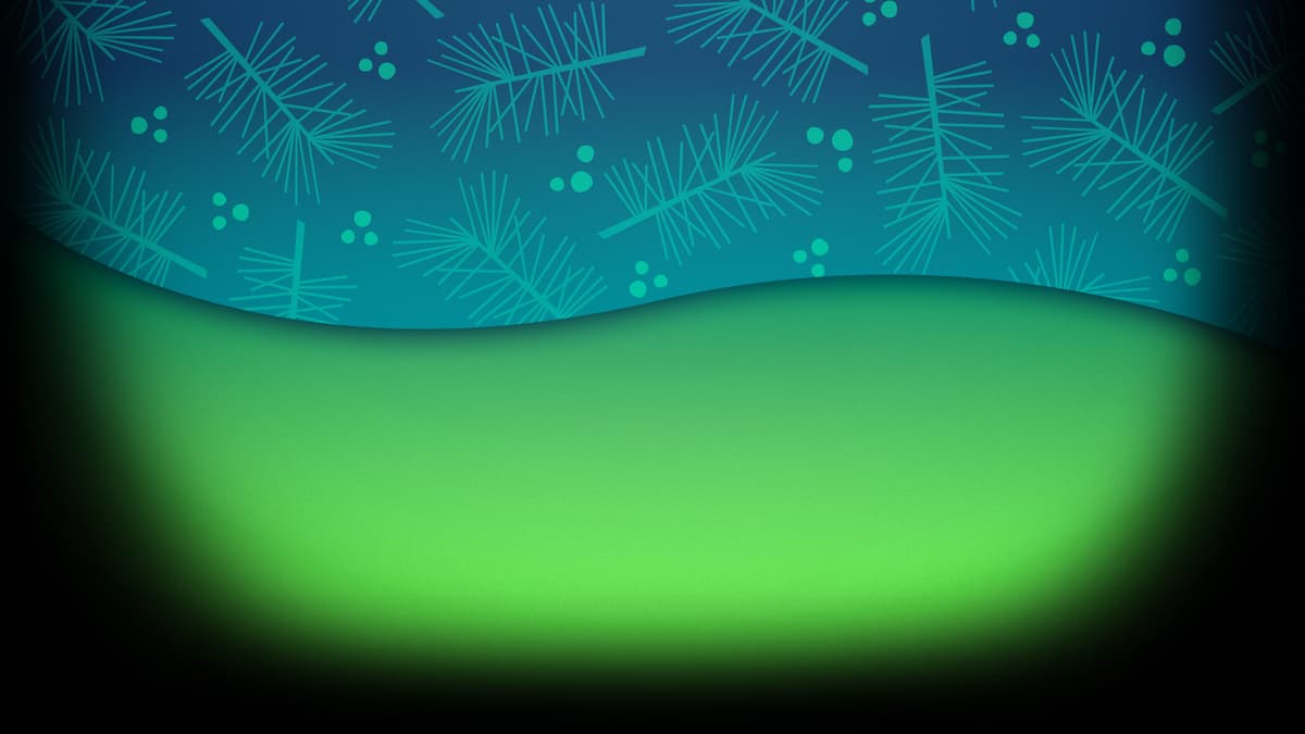 Night Pine