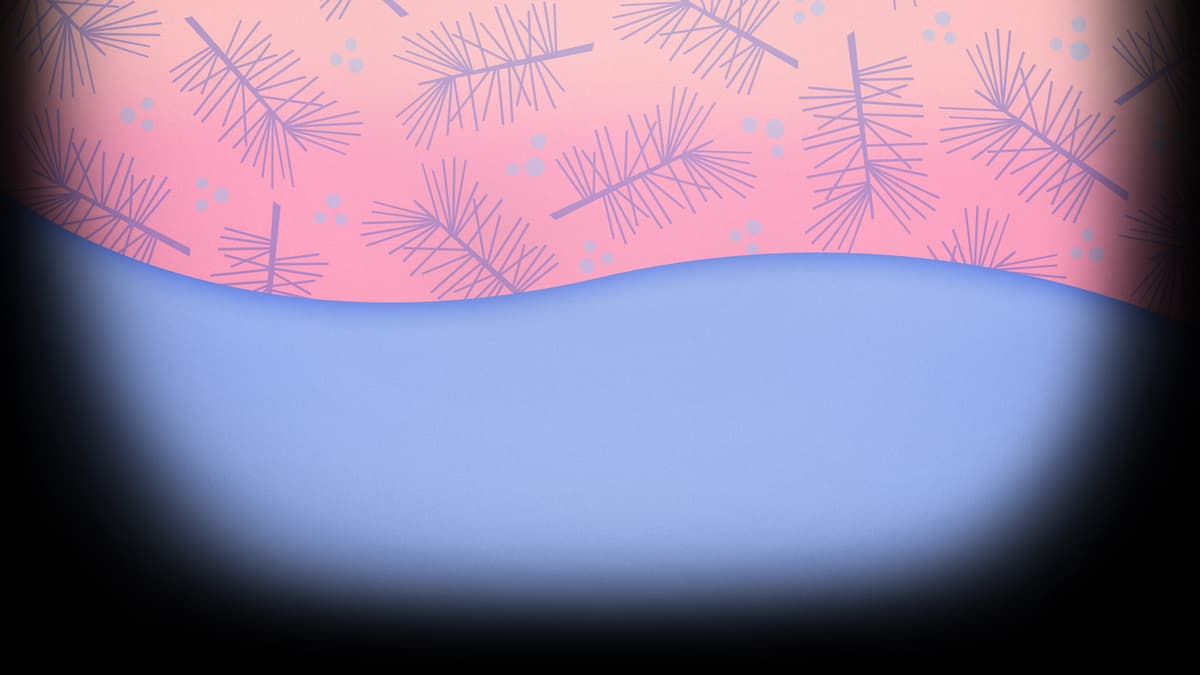 Morning Pine