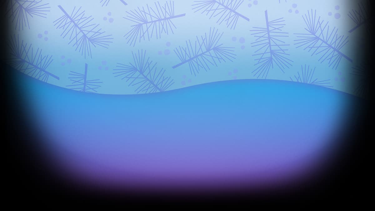 Evening Pine