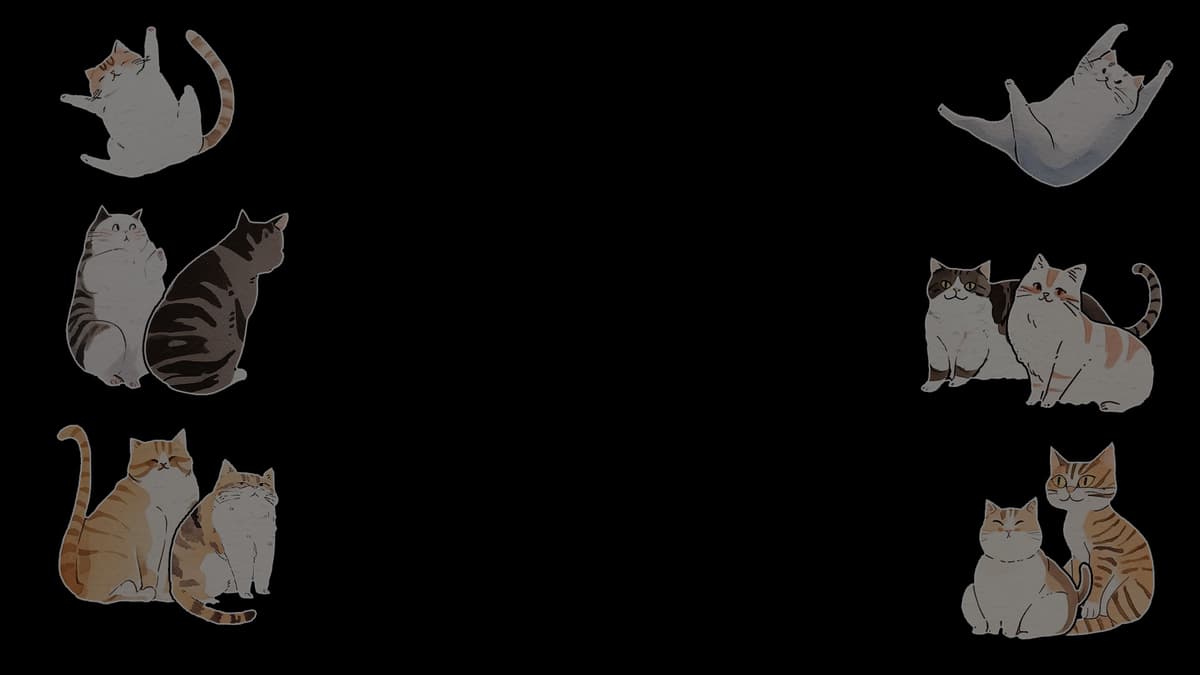 10 Cats