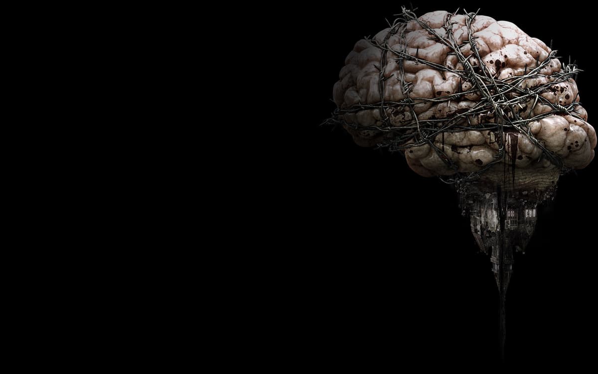 The Brain (Profile Background)