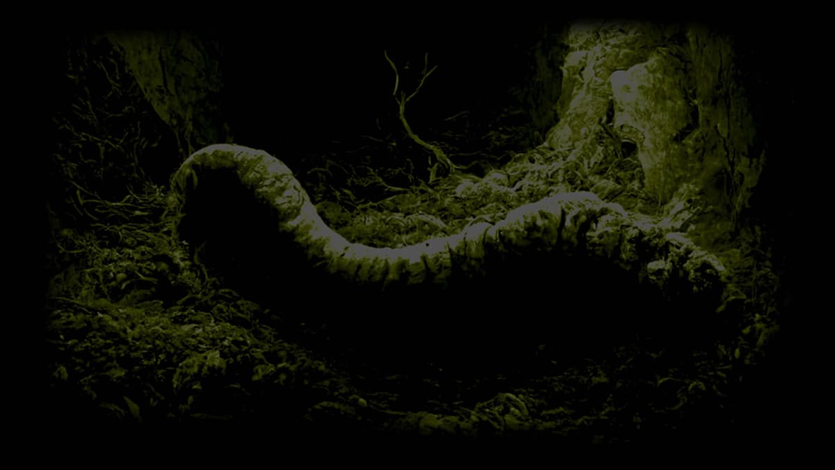 Mother Lair
