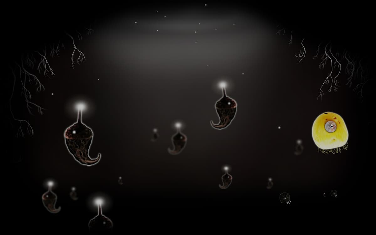 Sea