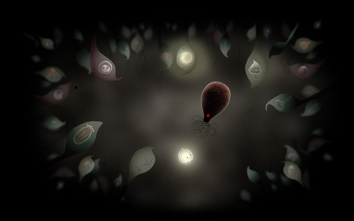 Parasite
