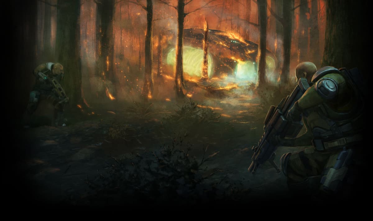 Forest