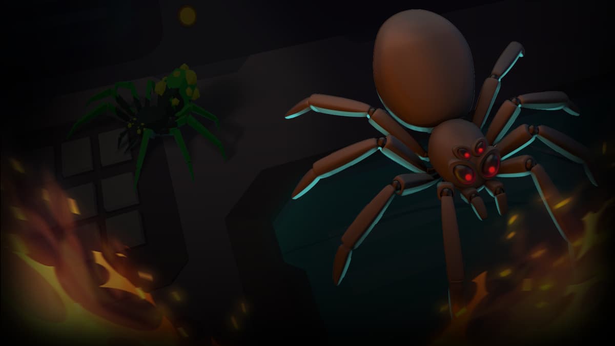 Spider