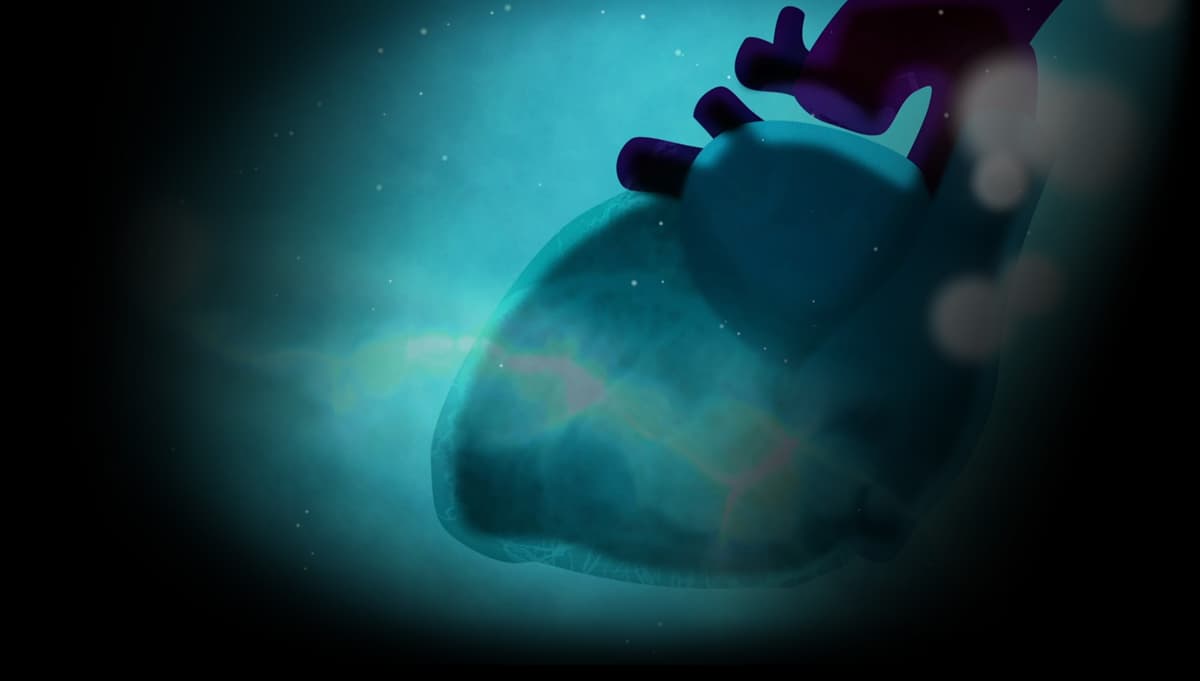 Element4l - Heart