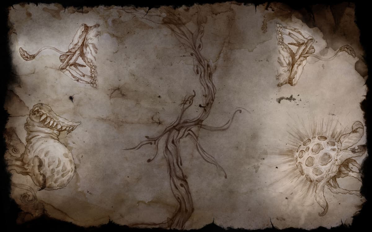 Audiophil Flora And Fauna