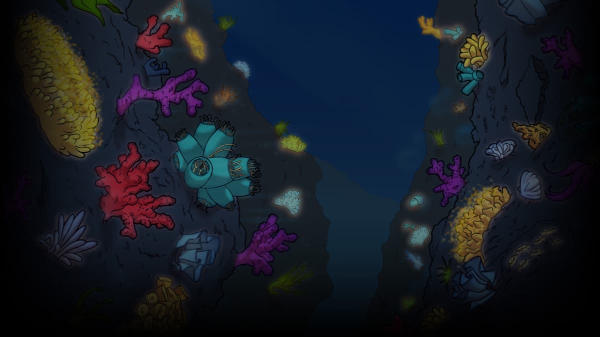 Night Reef