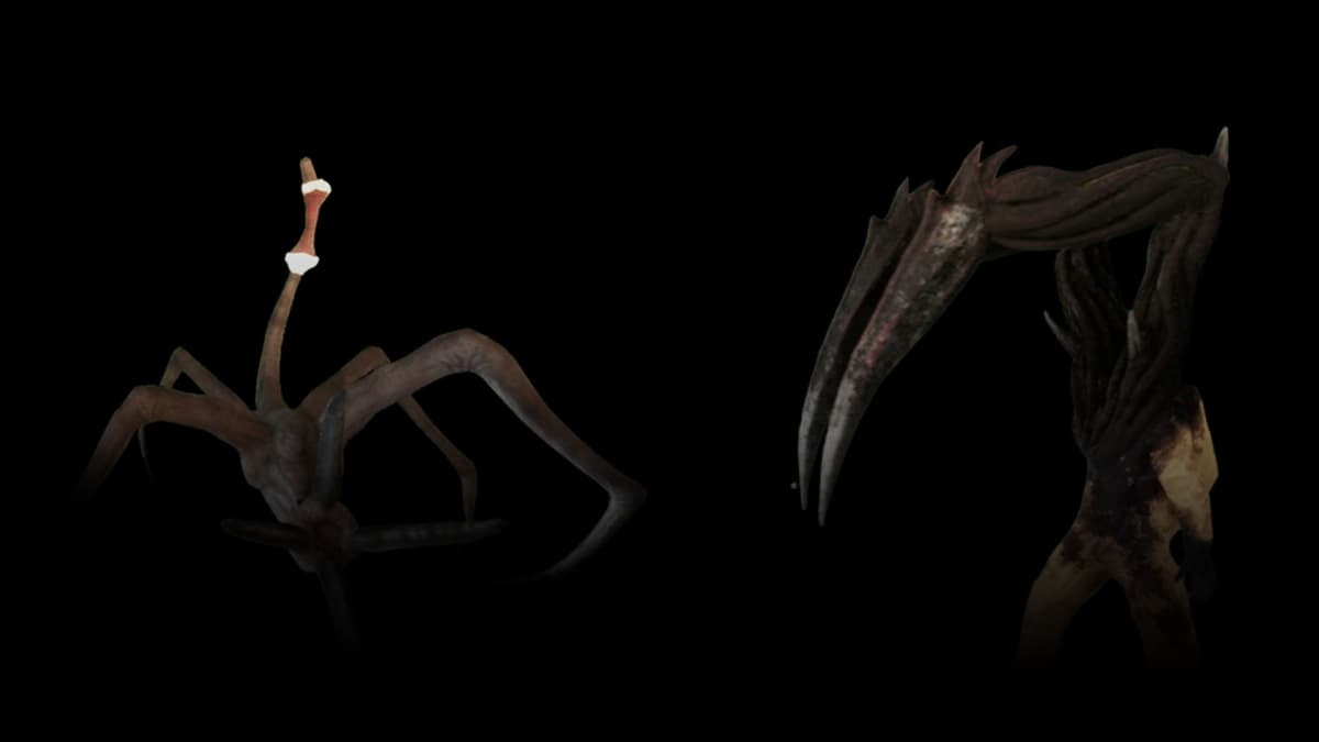 Entities