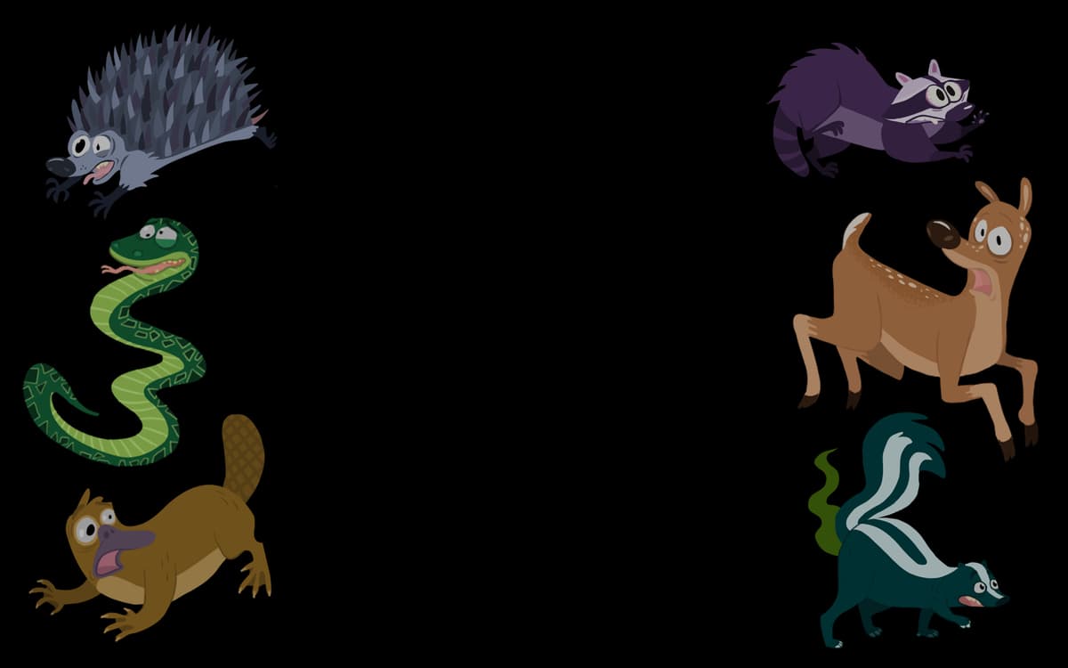 AnimalSet2