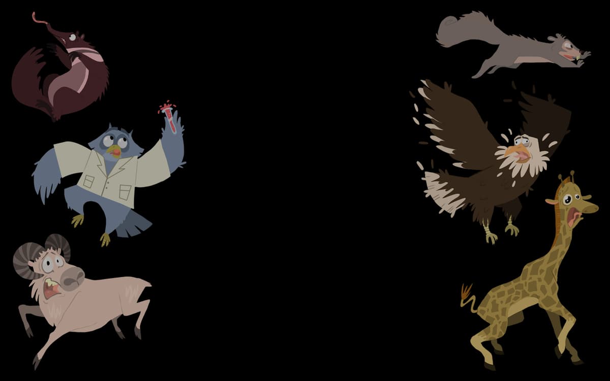 AnimalSet1