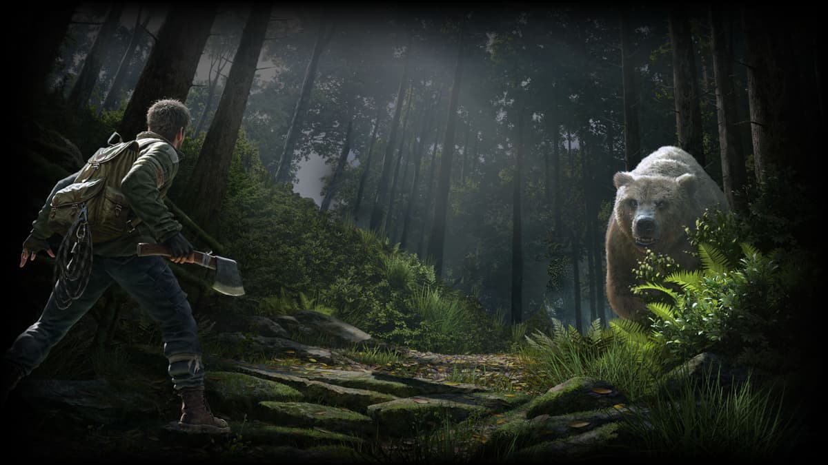Forest