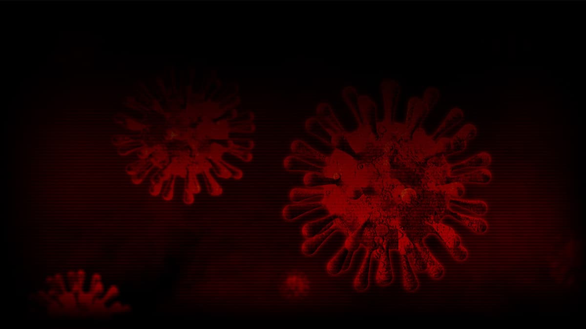 Virus