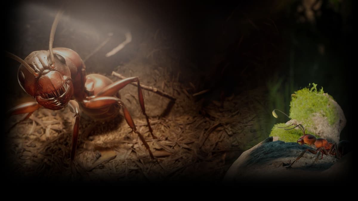 Empire of the Ants - Queen