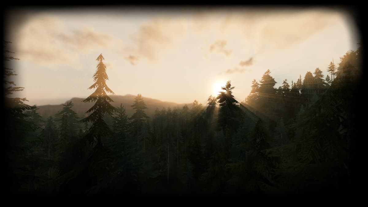 Woodlands