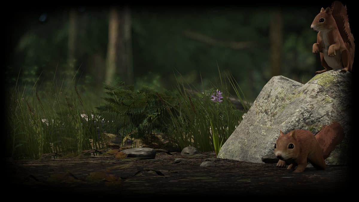 Woodland Friend