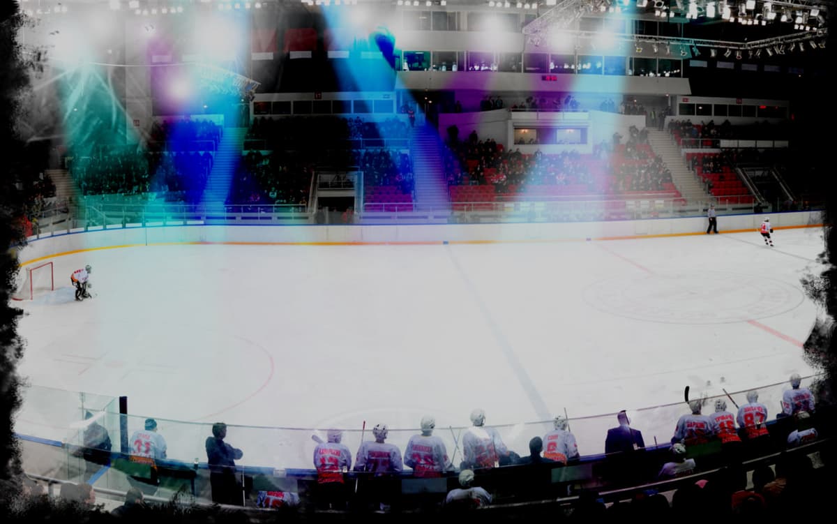 The Rink