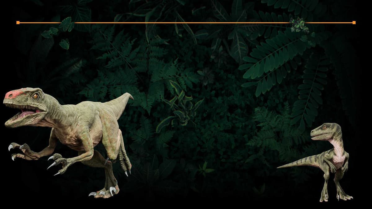 Velociraptor Foliage
