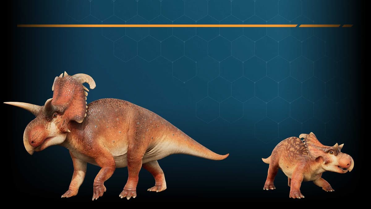Lokiceratops DIN