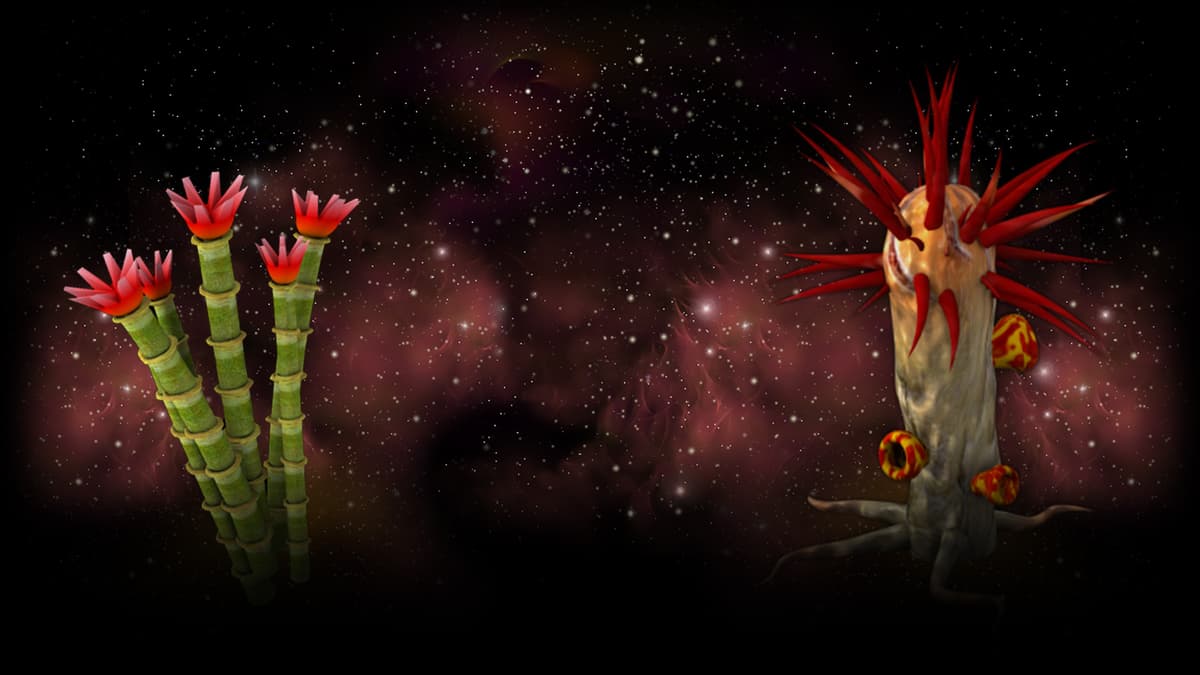Bamboo & Metaflaxus