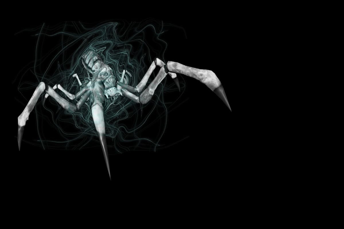 Spider Fractal