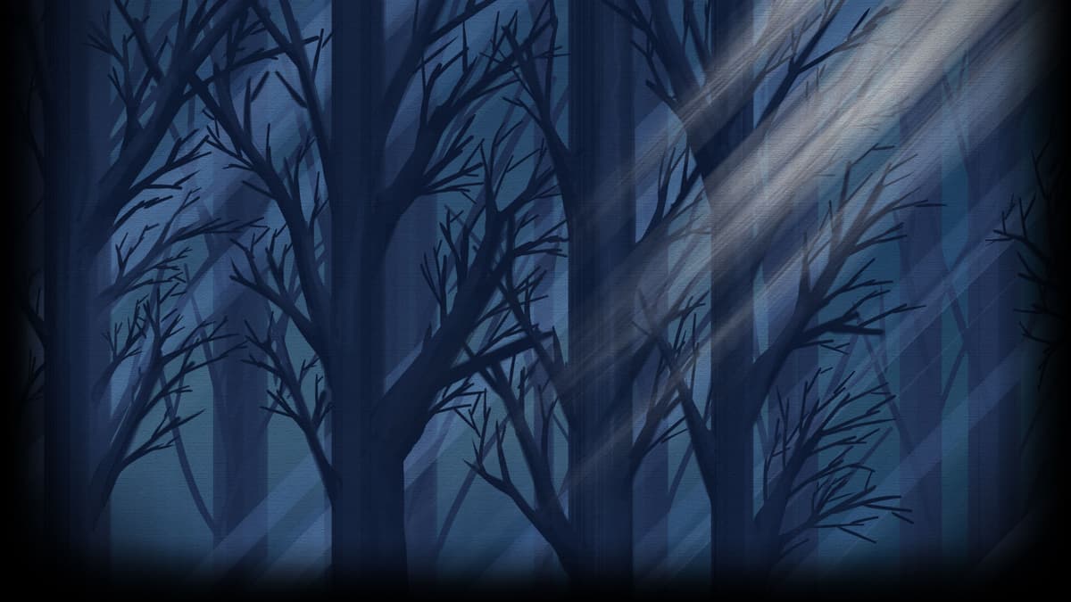 Nocturne forest