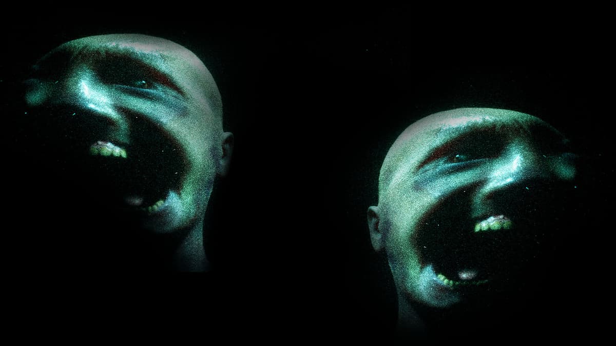 THE FLATHEADS