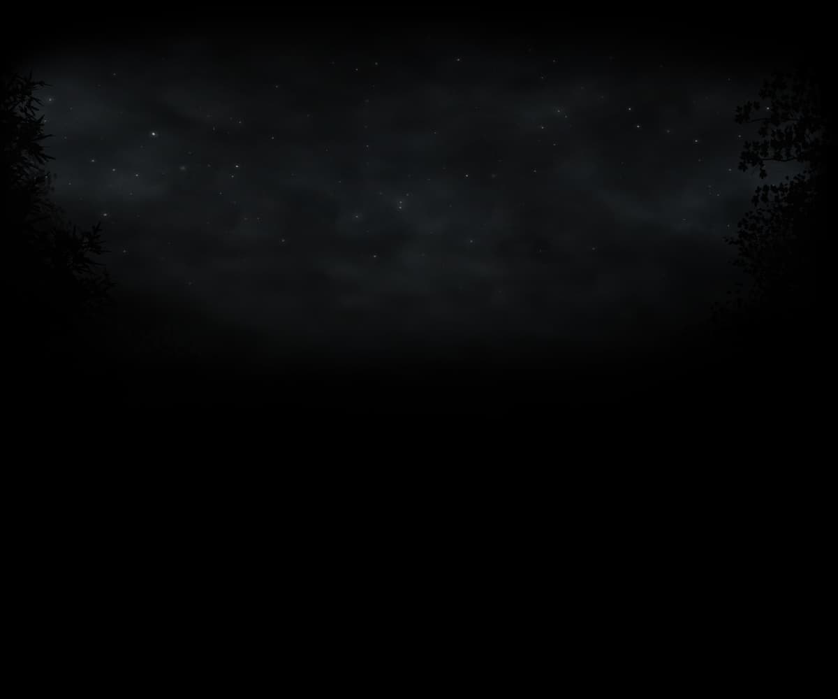 Night Sky