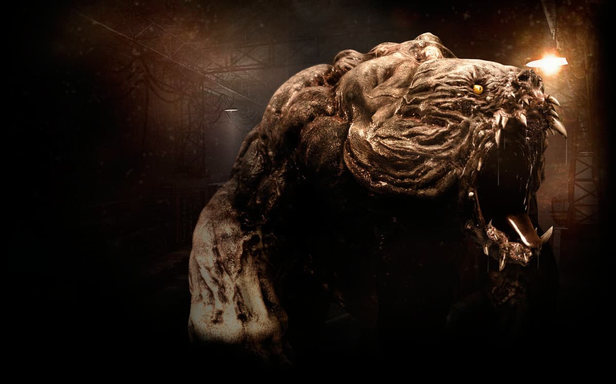 The Bear