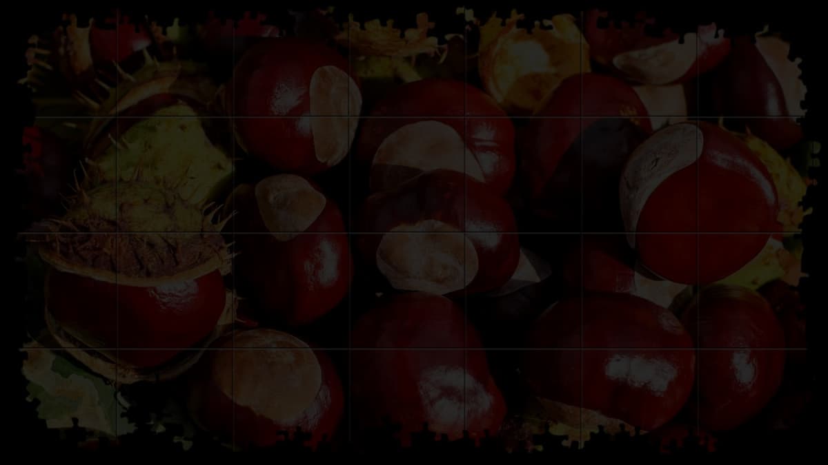Conkers