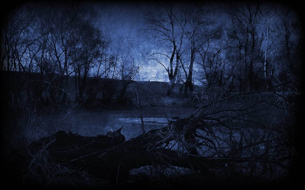 Twilight Forest