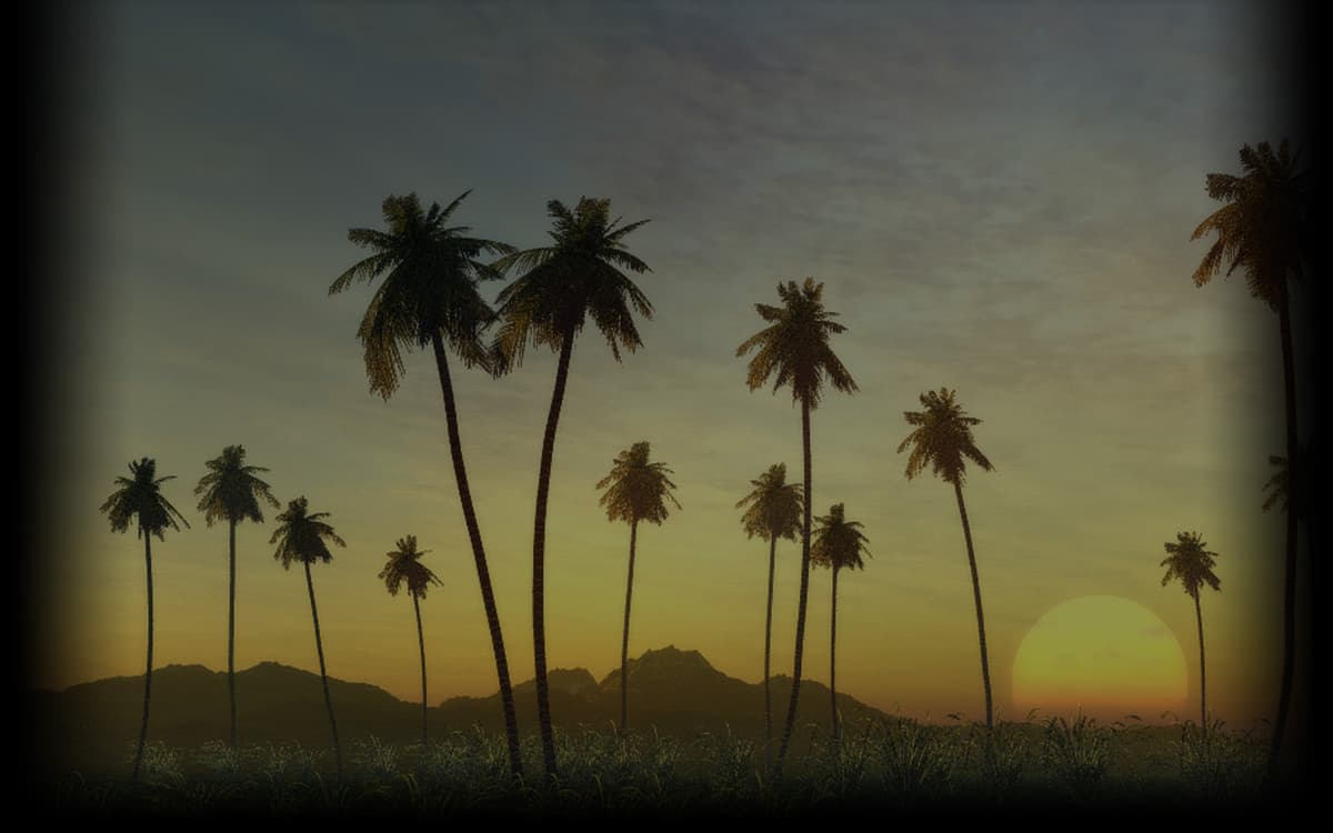 Sunset