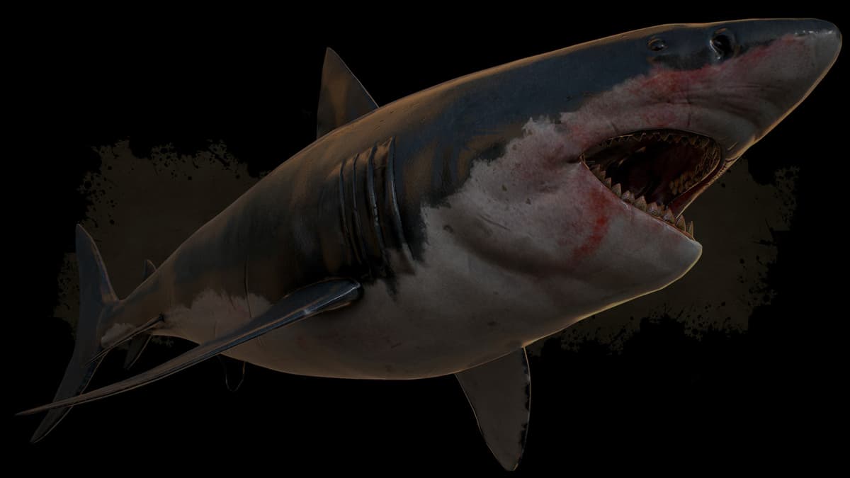 Megalodon