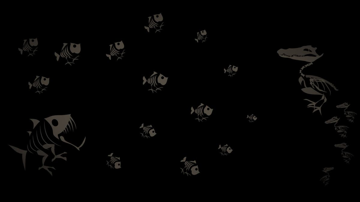 Fossils