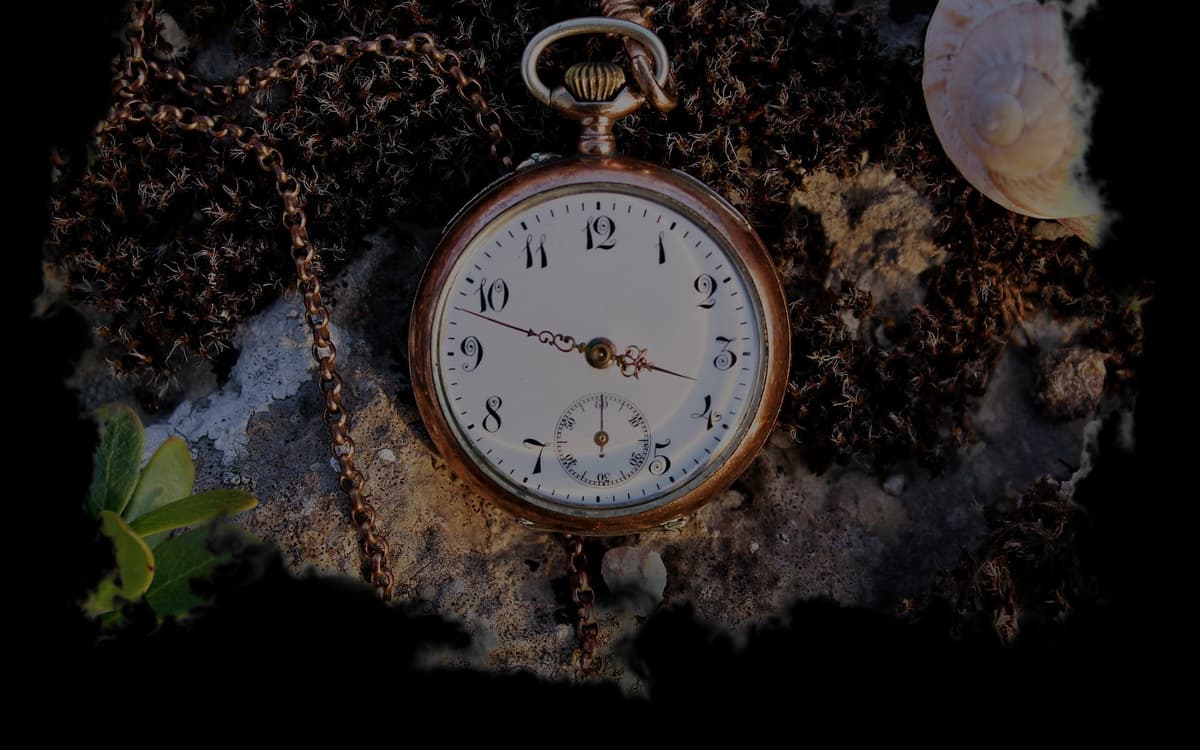 Tick (Profile Background)