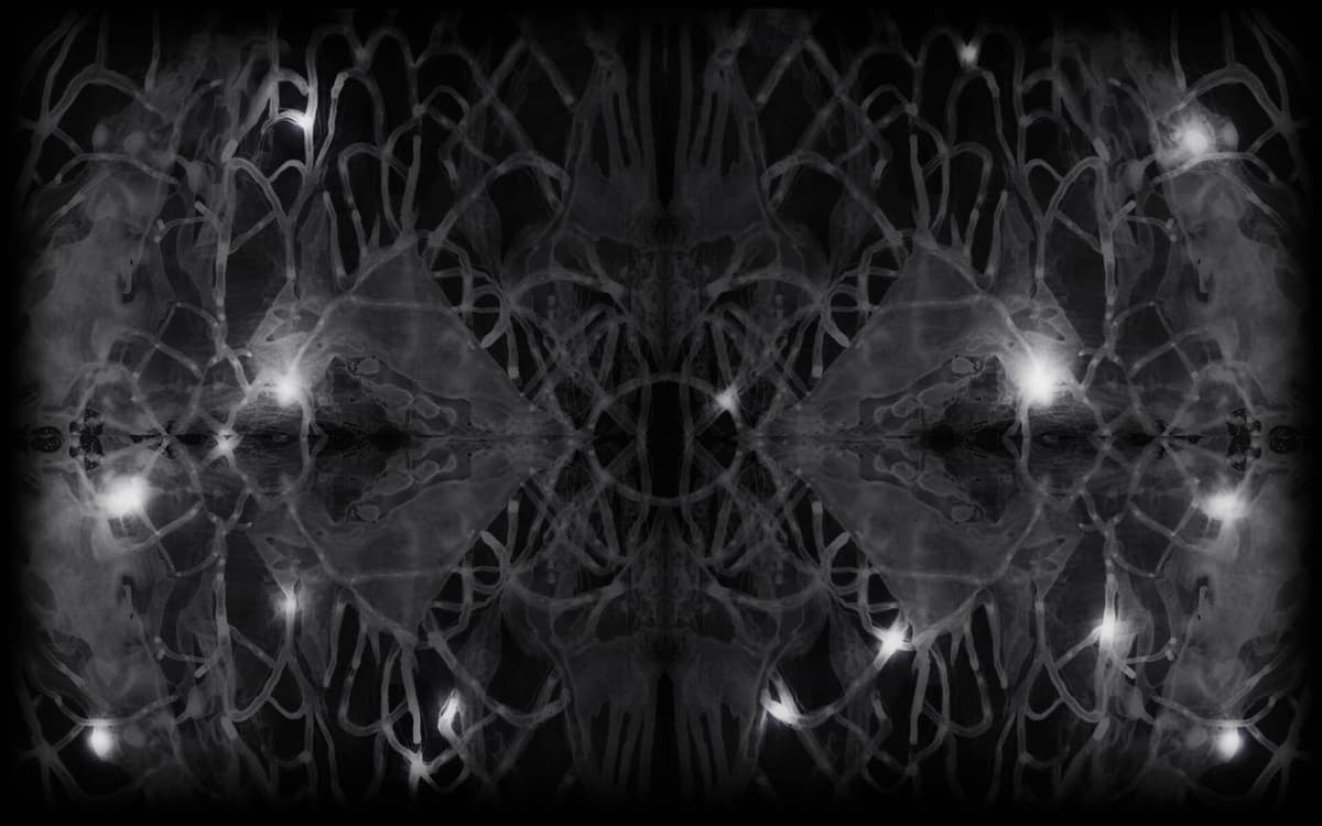 Mind Warp