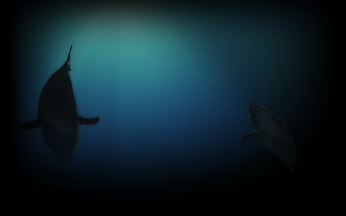 H2o Shark Background
