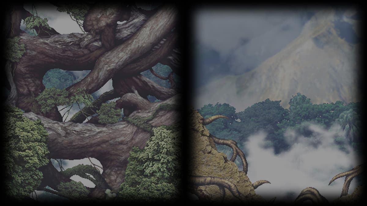 The Direction To The Heart Of The Forest