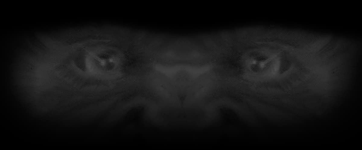 Vapark Evil eyes