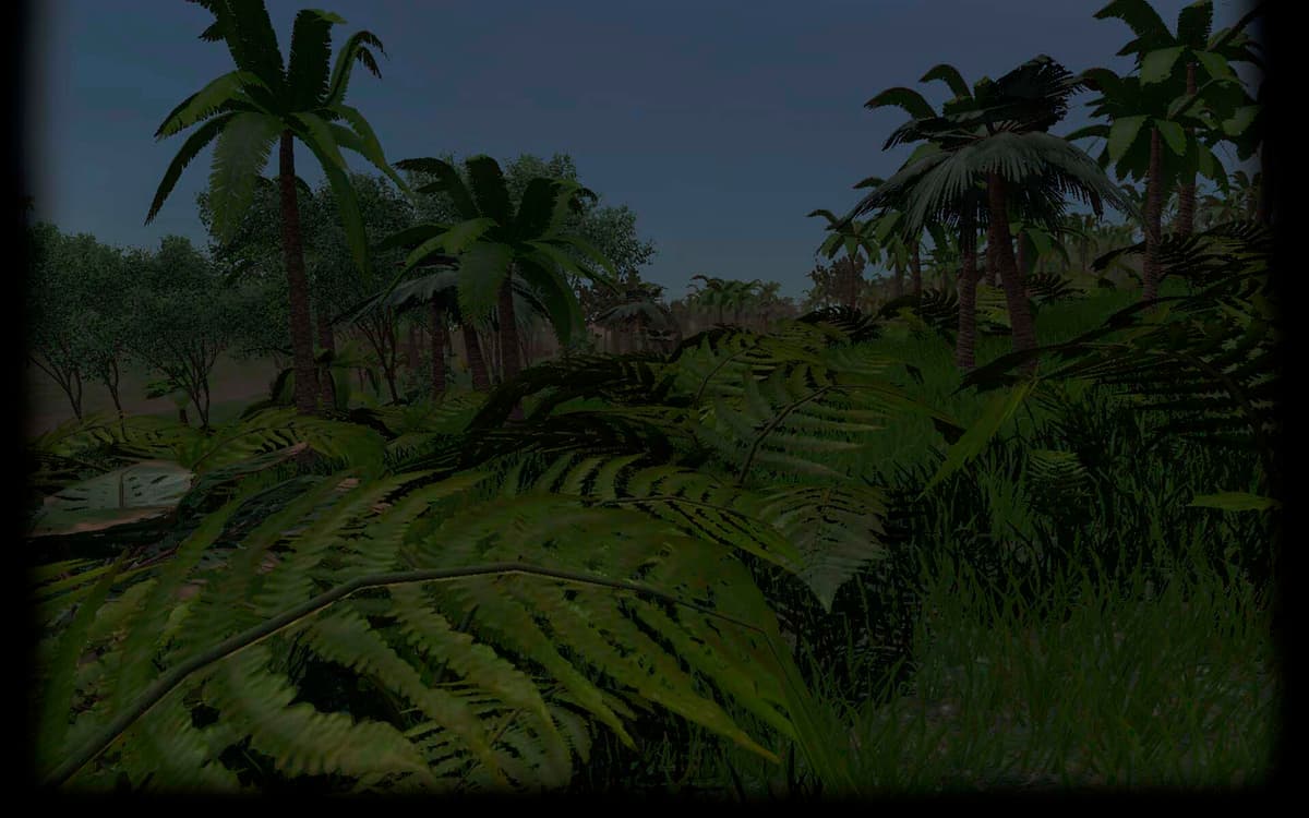 Rainforest (Profile Background)