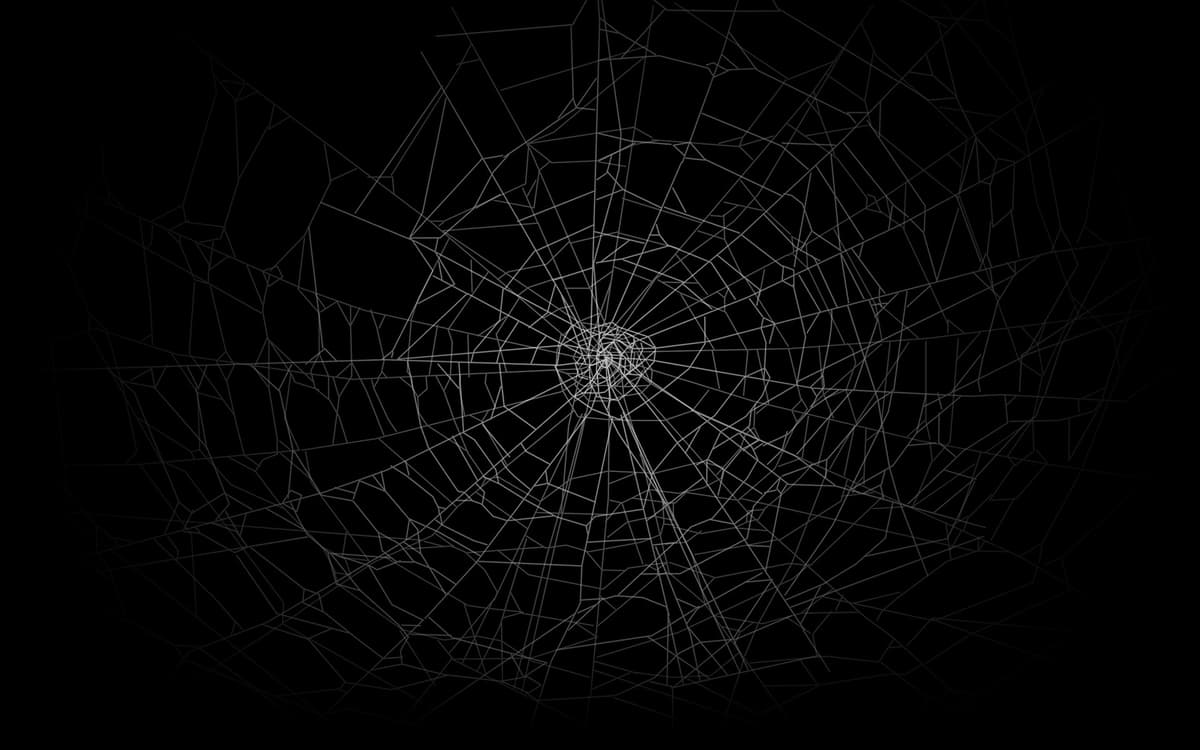 Spider Web