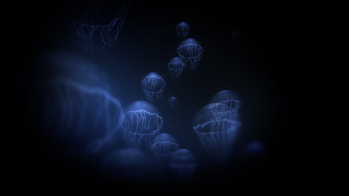 The Sea of Dreams