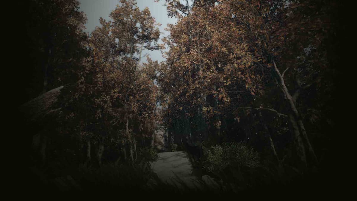 the winter forest