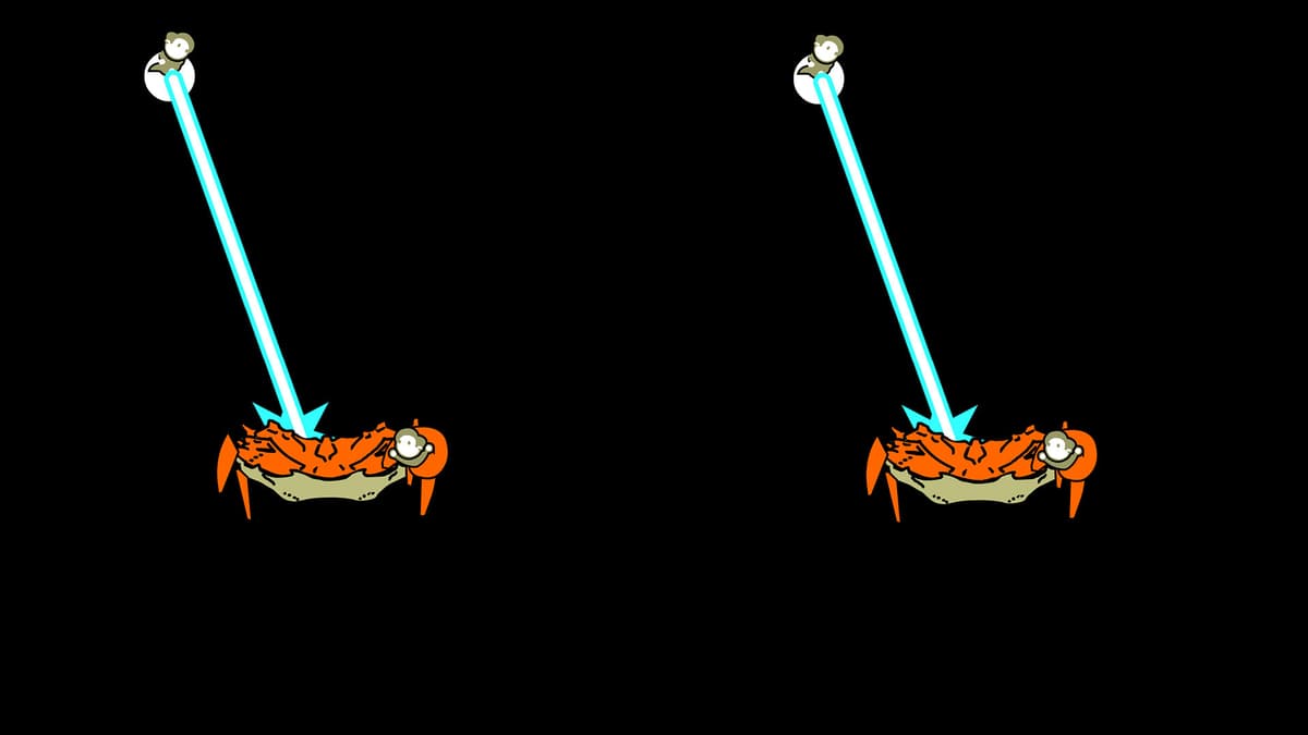 Crab Split Art