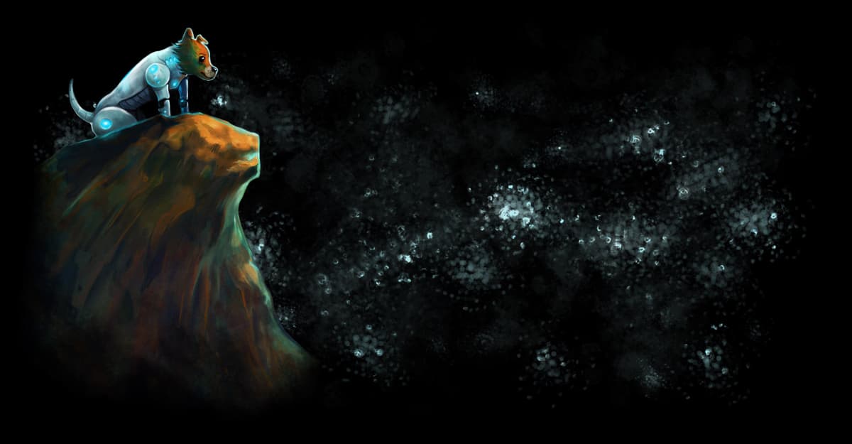 Starry Expanse
