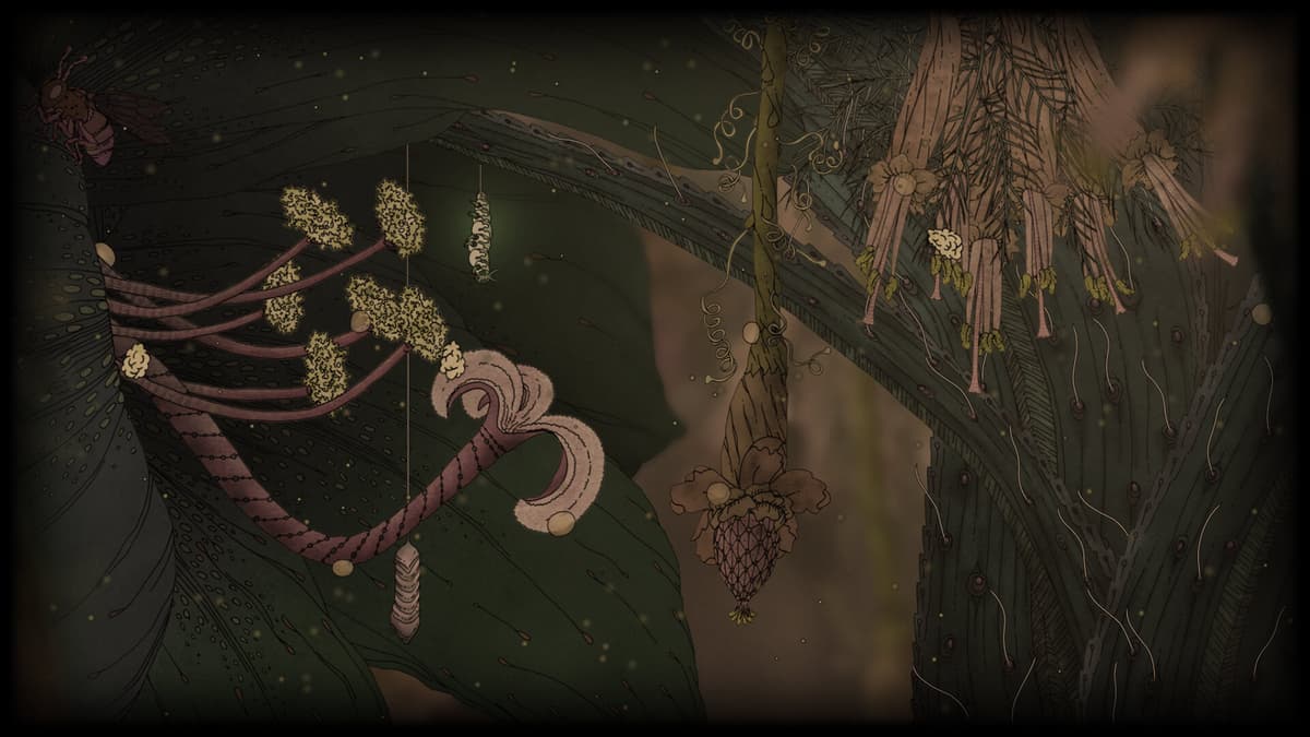 Opening background