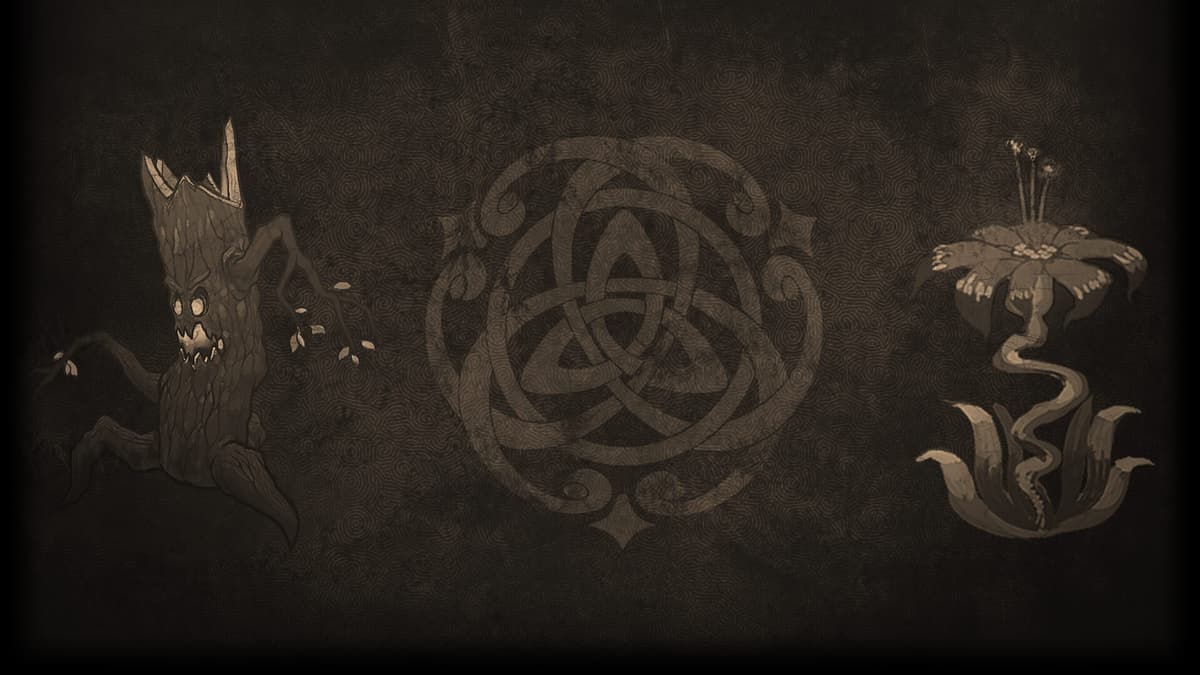 Old stump background